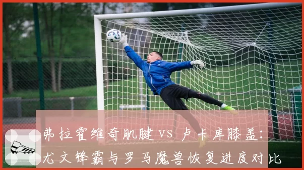 弗拉霍维奇肌腱 vs 卢卡库膝盖：尤文锋霸与罗马魔兽恢复进度对比