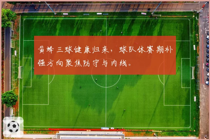 黄蜂三球健康归来,球队休赛期补强方向聚焦防守与内线。