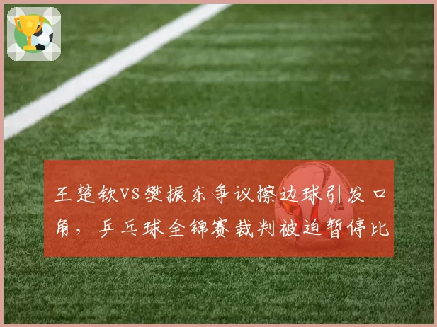 王楚钦vs樊振东争议擦边球引发口角，乒乓球全锦赛裁判被迫暂停比赛