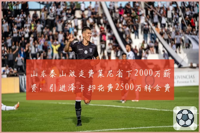 山东泰山放走费莱尼省下2000万薪资，引进泽卡却花费2500万转会费