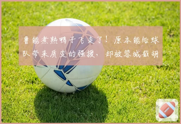 鲁能煮熟鸭子飞走了!原本能给球队带来质变的强援,却被蓉城截胡