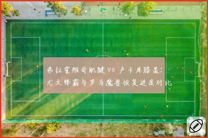 弗拉霍维奇肌腱 vs 卢卡库膝盖：尤文锋霸与罗马魔兽恢复进度对比