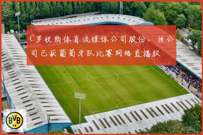 C罗收购体育流媒体公司股份,该公司已获葡萄牙队比赛网络直播权