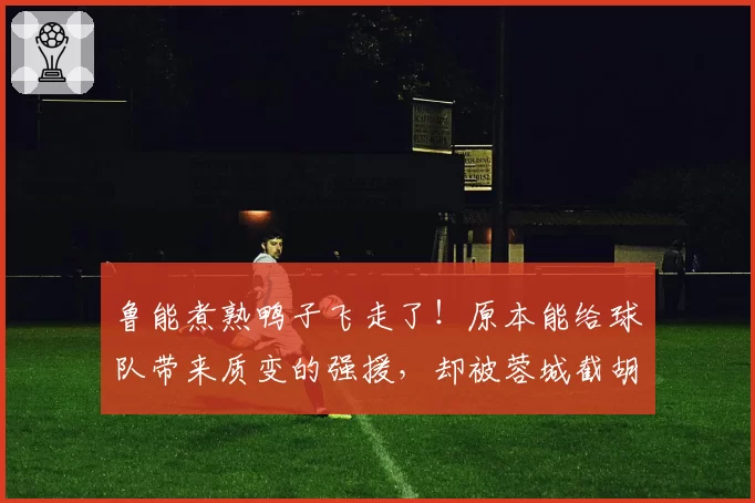 鲁能煮熟鸭子飞走了!原本能给球队带来质变的强援,却被蓉城截胡
